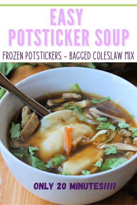 Frozen Gyoza Soup, Dumping Soup Asian, Crockpot Pot Sticker Soup, Crockpot Asian Dumpling Soup, Soup With Frozen Dumplings, Crock Pot Wonton Soup, Potsticker Soup Crockpot, Pot Stickers Soup Recipe, Dumpling Soup Recipe Asian