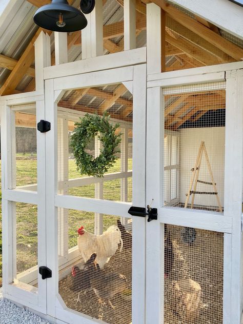 Screen Door Chicken Coop, Chicken Coop Run Door, Chicken Coop And Goat House Combo, Chicken Run Door Ideas, Chicken Coop Astetic, Chicken Coop Inside Run, Diy Coop Door, Modern Chicken Coop Design, Chicken Coop Add On Ideas