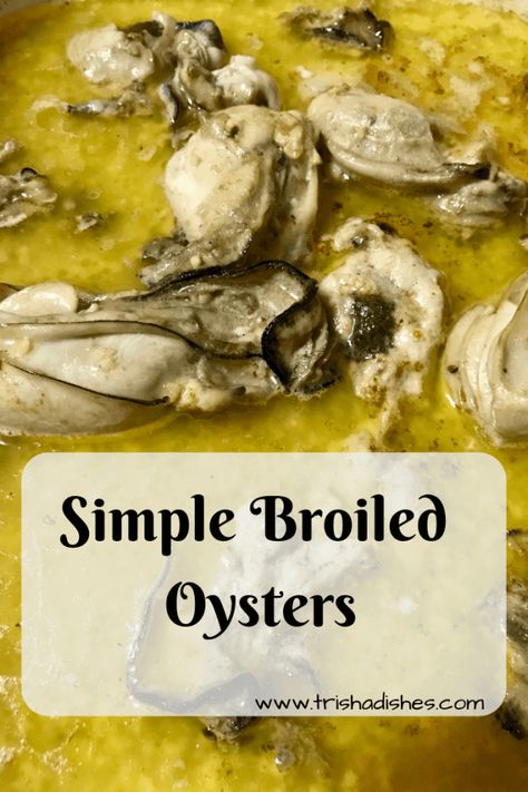 Simple Broiled Oysters Recipe | Trisha Dishes | Romantic Dinner Recipe | Appetizer Recipe | Seafood Recipe Broiled Seafood, Broiled Oysters Recipe, Baked Oyster Recipes, Oyster Stew Recipes, Broiled Oysters, Baked Oysters, Oyster Stew, Cooked Oysters, Oyster Roast