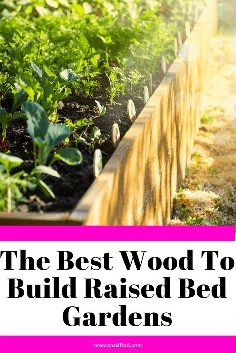 How to choose the best wood for raised bed gardens. What factors to consider including cost, durability, and availability of different types of wood. You can easily build your own garden bed and start growing delicious veggies! #raisedbedgardens #growingvegetables #gardening Best Wood For Raised Garden Beds, Raised Bed Flower Garden, Raised Veggie Gardens, Raised Bed Garden Layout, Build Your Own Garden, Garden Beds Diy, Making Raised Garden Beds, Raised Bed Gardens, Raised Garden Beds Diy Vegetables