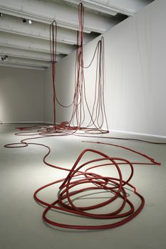 Sheela Gowda at Lunds konsthall  And Tell Him of My Pain (1998) is a vein-like installation: a dark mass of thread, stained with blood-coloured kumkum arranged in elegant visceral tangles that end in a barbed posy of needles. You can't tell by looking, but to make this work the artist had to pull a 360-foot long thread through the eye of every single needle Sheela Gowda, Material Experimentation, Brand Extension, Embroidered Photography, String Installation, What Is Contemporary Art, Body Sculpture, Lady Macbeth, Red Images