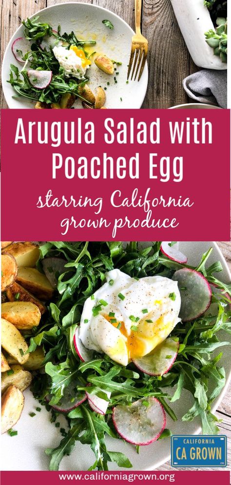 Salad With Poached Egg, Salad For Breakfast, Poaching Eggs, Egg Farm, Crab Salad Recipe, Noodle Salad Recipes, Breakfast Eggs, Egg Salad Recipe, Cucumber Recipes Salad