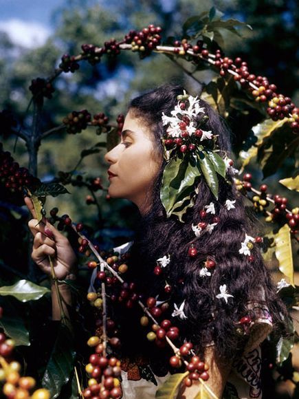 Luis Marden Indigenous Americans, National Geographic Magazine, Coffee Photography, Coffee Art, Pictures Images, Beautiful Photography, National Geographic, Her Hair, Beautiful Art