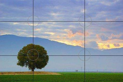 Photography Tips and Techniques Rule Of Thirds Photography, Photography Rules, Levitation Photography, Double Exposure Photography, Photo Techniques, Photography Jobs, Photo Composition, Experimental Photography, Photography Basics