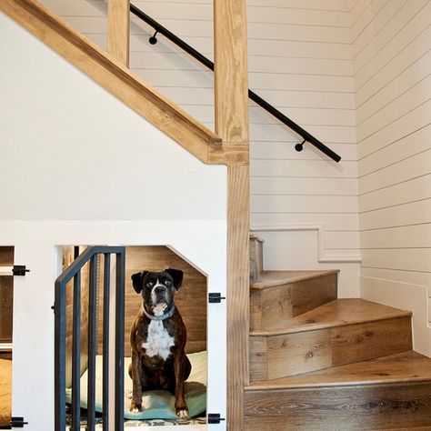 75 Staircase Ideas You'll Love - August, 2024 | Houzz Open Staircase Ideas, Industrial Scandinavian, Scandinavian Rustic, Farmhouse Transitional, Open Loft, Staircase Ideas, Staircase Remodel, Rustic Coastal, Modern Traditional