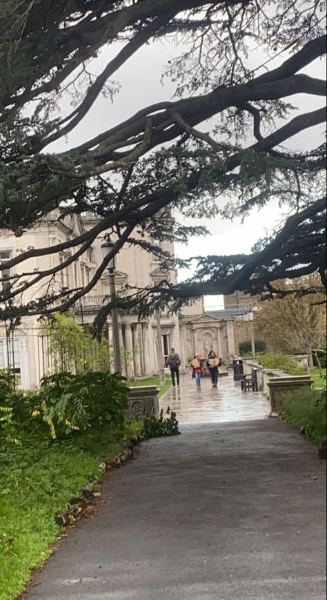 Roehampton University, University