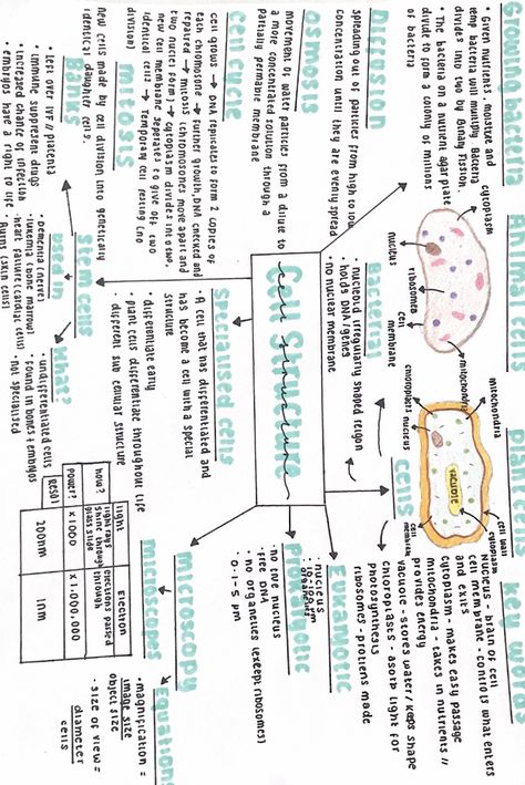 Cell Biology Mind Map, Cell Biology Notes Gcse, Science Mind Map Ideas, Cell The Unit Of Life Mind Map, Mind Map Revision, Anatomy Mind Map, Gcse Biology Paper 1 Revision, A Level Biology Cell Structure Notes, Revision Mind Maps