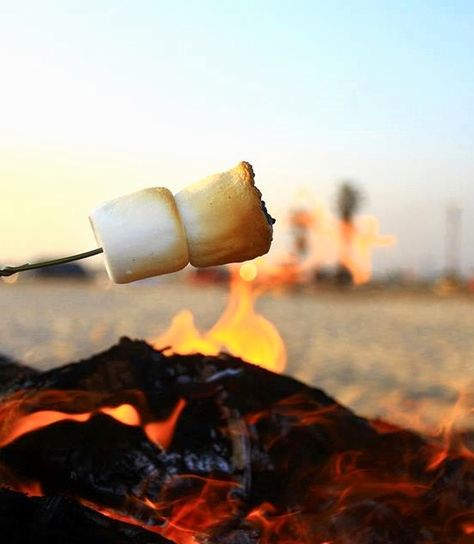 Mmmm… Smores! How to Roast Marshmallows over a Beach Bonfire & Make Smores http://beachblissliving.com/how-to-make-smores-over-fire-on-beach/ Christy Miller, Make Smores, Port Aransas Beach, Beaches In California, Roast Marshmallows, Toasting Marshmallows, Living By The Sea, Beach Wedding Guest Dress, How To Roast