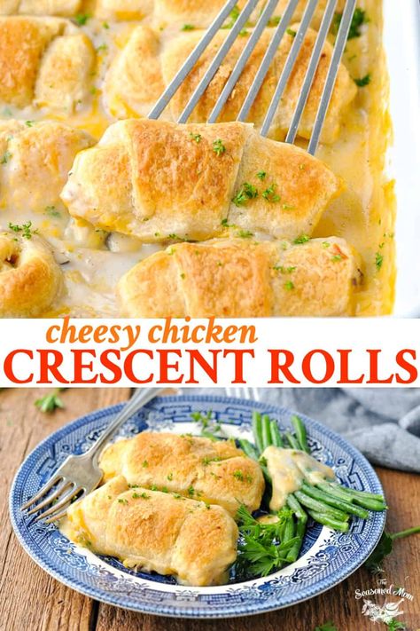 Chicken Rotisserie, Chicken Crescent Rolls, Chicken Crescent, One Pot Dinners, Crescent Roll Recipes, Easy Chicken Dinner Recipes, Easy Dinner Recipe, Health Dinner Recipes, Cheesy Chicken