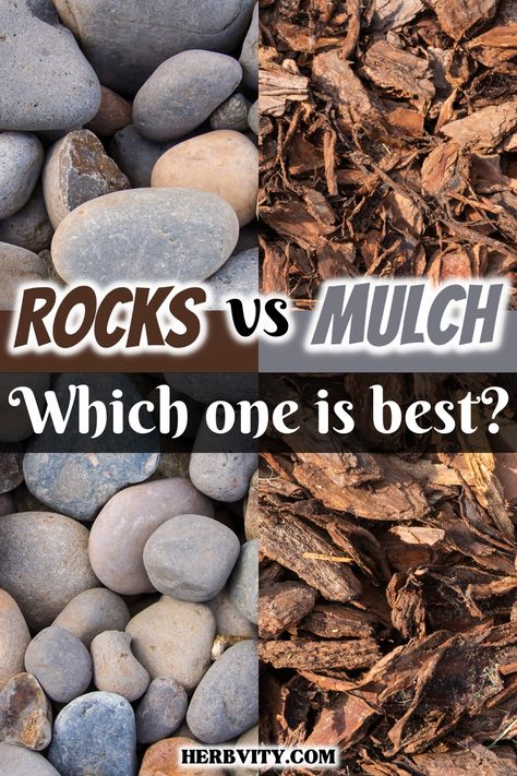 Mulch vs rocks are two main components of gardening. Each has its own benefits and drawbacks. After reading this post, you should have a good idea which one works best for your garden, or if you want to use both. Front House Rock Landscaping, River Gravel Landscaping Ideas, Mulch Over Rock Bed, Stones Landscaping Ideas, Stones In Flower Beds, Stone Beds Landscaping, River Rock In Flower Beds, Outdoor Mulch Ideas, Rocks In Garden Bed