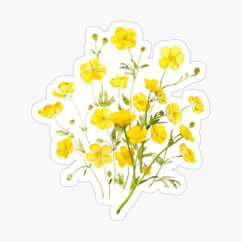 Yellow Flowers Stickers, Buttercup Bouquet, Manifestation Board, Yellow Aesthetic, Scrapbook Stickers, Real Flowers, Yellow Flowers, Sticker Sheets, Sticker Design