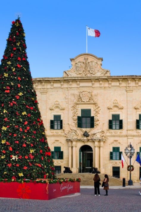 Our Malta Stay-Put Holiday in December is another wonderful option for an unforgettable holiday season: it’s not too hot, not too crowded, with amazing history, spectacular landscapes, charming Christmas celebrations and unforgettable people! 🤩

#Malta #Europe #Holidays #Travel #Adventure Malta In December, Malta Europe, Malta Island, Europe Holidays, December Holidays, Charming Christmas, Travel Packages, Travel Adventure, Sandy Beaches