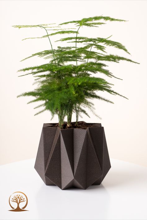 This eco-friendly wooden geometric modern planter will make a perfect home for a variety of plants. The pot's minimalist design complements any decor, making it a versatile and stylish addition to your home or office and an ideal gift for a friend. Wooden Plant Pots, Modern Planter, Indoor Planter, Modern Planters, Raw Wood, Stylish Home Decor, Plant Pots, Perfect Home, Recycled Wood