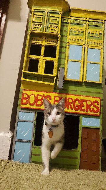 Cardboard Cat Crafts, Box Cat House Diy, Cat Home Diy, Cat Cardboard Box Ideas, Cat Box Ideas, Pet Playroom, Diy Cathouse, Diy Cat Enrichment, Cat Playground Diy