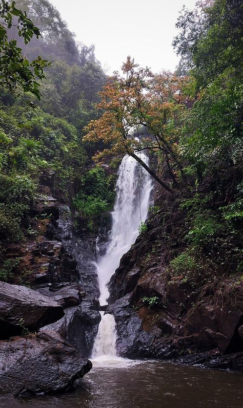 #goa #waterfall #rain #nature #monsoon Goa Waterfall, Goa Monsoon, Rain Snap, Monsoon Rain, Aesthetic Roses, Light Academia, Nature Aesthetic, Sky Aesthetic, Goa