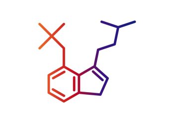 Microdosing Psilocybin aka Magic Mushrooms | Pediatric and Adult Behavioral Counseling Psychadelic Mushroom, Microdose Mushrooms, Microdosing Mushrooms, Micro Dosing, Mushroom Stuff, Psilocybin Mushrooms, Mushroom Guide, Growing Mushrooms At Home, Mushroom Growing