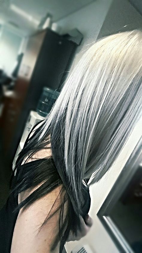 Silver Hair Black Underneath, Silver Hair With Black Underneath, Platinum Hair With Black Tips, White Hair With Black Underneath, Black And Grey Ombre Hair, Platinum Blonde Hair With Black Streaks, Platinum And Black Hair, Blonde With Black Underneath, Blonde On Top Black Underneath