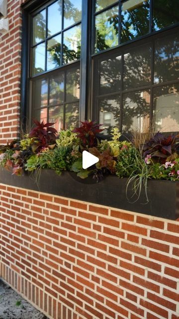 Enliven Planters on Instagram: "Another beautiful window box being assembled in Center City. The transition from season to season is always so dramatic, especially as we get closer to fully changing over a neighborhood. When you stroll down Lombard and start to see all the window boxes proudly displaying their fall foliage though the full feeling of fall can really start to settle in though! 🍂🍁🎃" Center City, Beautiful Windows, Window Boxes, Window Box, Fall Foliage, The Window, The Neighbourhood, This Is Us, Canning