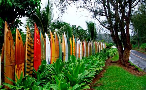 Property line Fence Laws Hawaii Bahama Shutters, Fence Styles, Home Beach, Shutters Exterior, Beach Cottage Decor, Beach Cottage Style, Beach Living, Garden Fencing, Fence Design