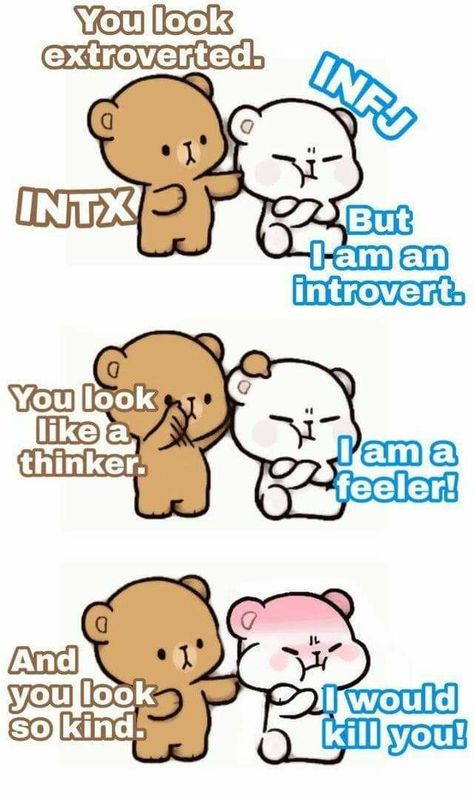 Infj X Intj, Infj Meme, Infj Door Slam, Infj Characters, Infj And Entp, Infj Traits, Personalidad Infj, Infj Humor, Infj Things