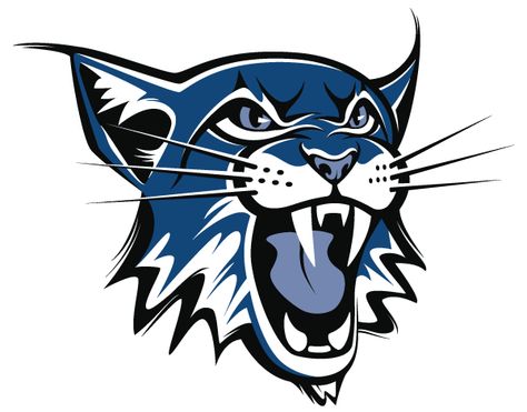 School Mascot Ideas, Lynx Drawing Cartoon, Gato Bob, Lynx Logo Design, Bobcat Mascot Design, School Merch, Volleyball Logo, Cougars Logo, Wolf Mascot Logo