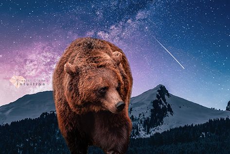 Bear Spiritual Meaning, Beaver Meaning, Bear Meaning, Bear Spirit Animal, Bear Spirit, Native American Traditions, Your Spirit Animal, Bear Claws, Spiritual Meaning