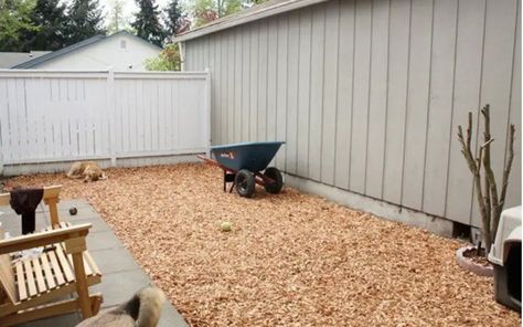 Muddy Dog Yard Solutions – How to Fix a Muddy Backyard Dog Trail (3 Proven Solutions) - Backyard Caring Best Dog Backyard Ideas, Dig Proof Dog Yard, Muddy Dog Yard Solutions, How To Cover Muddy Areas In Yard, Mud Free Dog Yard, Muddy Yard Solutions Dogs, Muddy Backyard Solution, Muddy Backyard Solution Dogs, Cheap Dog Run Ideas Backyard