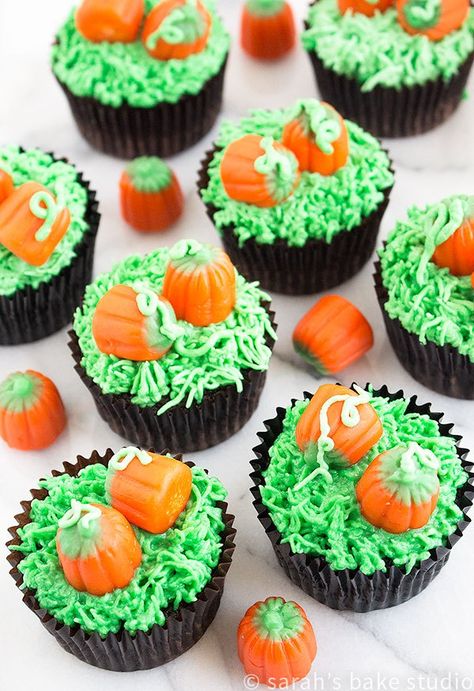 Pumpkin Patch Cupcakes – decorate your favorite chocolate cupcakes with an easy fall ensemble, candy pumpkins in a pumpkin patch. 2 Ingredient Pumpkin Muffins, Candy Pumpkins, Pasteles Halloween, Pumpkin Muffins Easy, Thanksgiving Cupcakes, Fall Cupcakes, Thanksgiving Cakes, Holiday Cupcakes, Fall Cakes