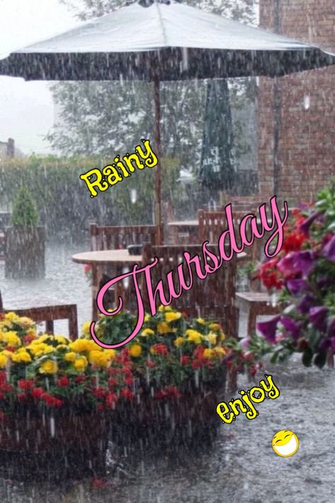 Rainy Thursday Quotes Good Morning, Rainy Thursday, Thursday Morning Quotes, Good Morning Rainy Day, Thursday Greetings, Good Morning Thursday, Good Morning Wednesday, Thursday Quotes, Rainy Morning