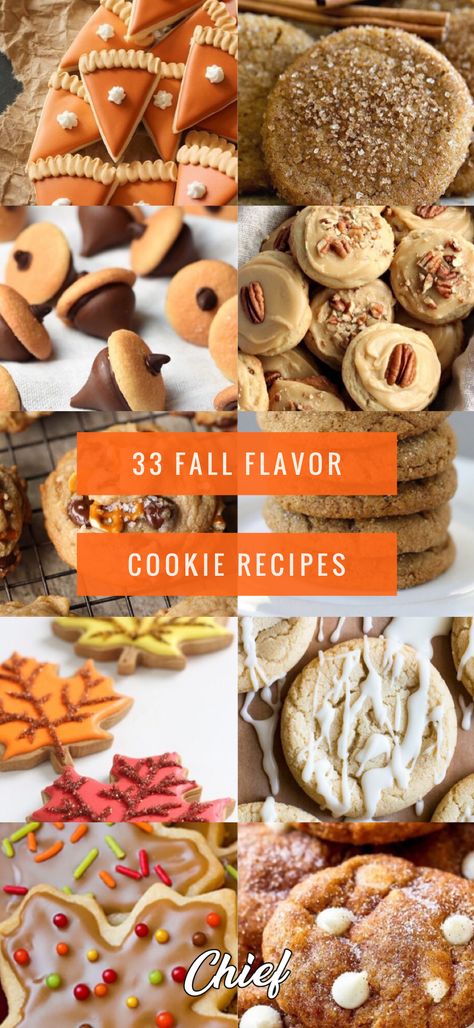 33 Fall Flavor Cookie Recipes: Seasonal Baking | Chief Health Sugarless Cookies, Autumn Foods, Flavored Cookies, Chewy Ginger Cookies, Fall Cookie Recipes, Seasonal Baking, Cookie Flavors, Fall Cookies, Ginger Cookies