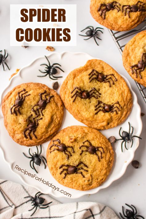 Spider Chocolate Chip Cookies, Spider Cookies Halloween, Halloween Spider Cookies, Chocolate Chip Cookie Dough Recipe, Spiderman Cookies, Chocolate Spiders, Holiday Entertaining Food, Cookie Dough Recipe, Spider Cookies