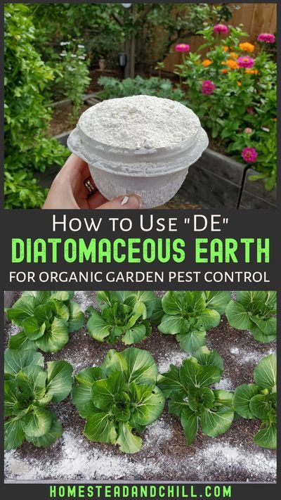 Dirt Therapy, Soil Science, Rusty Tools, Green Backyard, Squash Bugs, Organic Gardening Pest Control, Vegetables Garden, Organic Pest Control, French Country Garden