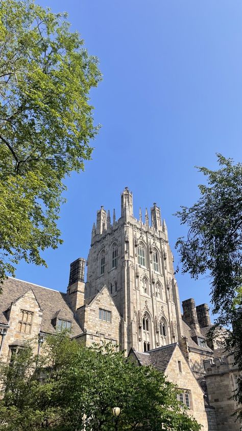 Ivy University, Ivy League Aesthetic, Aesthetic University, University Inspiration, Friends Experience, College Goals, Ivy League Universities, Yale Law School, College Vision Board