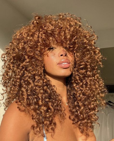 Colorful Hair Ideas For Black Women, Hair Color Ideas Natural Curly Hair, Hair Colors For Light Skin Tones Black Women, Hair Color Same As Skin Tone, Colored Hair On Brown Skin Women, Same Hair Color As Skin, Curly Hair Colors Black Women, Dyed Black Curly Hair, Black Woman Hair Color Ideas