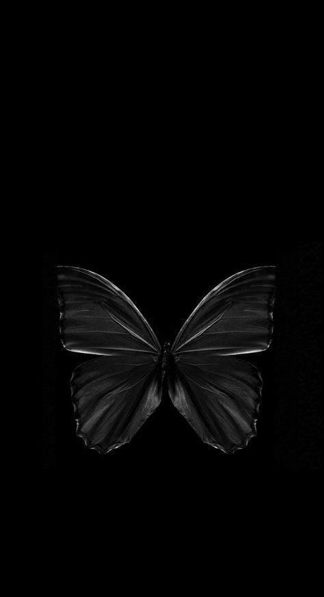 Black Butterflies Aesthetic, Black Butterfly Wallpaper, Black Flowers Wallpaper, Iphone Wallpaper Hd Original, Monochrome Wallpaper, Blue Butterfly Wallpaper, Fall Landscape Photography, Black Couple Art, Butterfly Wallpaper Backgrounds