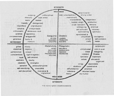 The four basic temperaments. Infj Istj, Intj Isfj, Waldorf Teaching, Understanding People, Waldorf Homeschool, Waldorf School, Waldorf Education, Rudolf Steiner, Unschooling