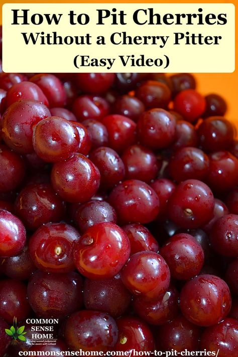 Learn how to pit cherries using an amazingly simple technique taught to us by a cherry grower, plus more options for firm or soft cherries. Cherry Recipes Healthy, How To Pit Cherries, Cherry Sauce Recipe, Cherry Bounce, Homemade Fruit Leather, Cherry Salsa, Dehydrated Apples, Fruit Plus, How To Peel Peaches