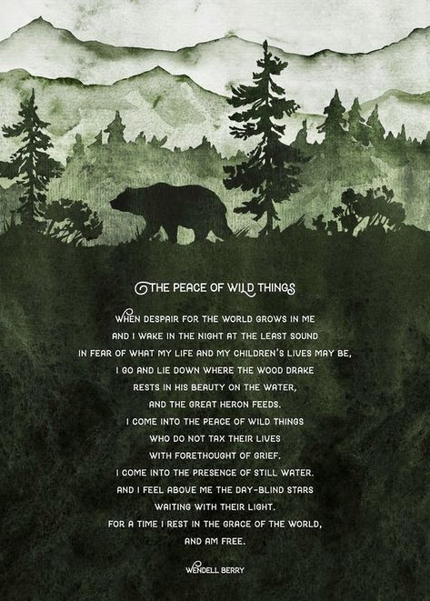 The Peace of Wild Things. Wild Child Quotes, Peace Of Wild Things, Prince Quotes, Fantastic Quotes, Poetic Quote, Wild Kingdom, Kids Poems, Fancy Words, Poems Beautiful