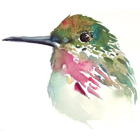 Watercolor Hummingbirds, Bird Watercolor Art, Birds Watercolor, Watercolor Paintings Of Animals, Watercolor Hummingbird, Hummingbird Painting, Learn Watercolor Painting, Bird Watercolor Paintings, Hummingbird Art