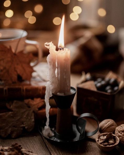 @fall_christmasandcoffee • Instagram photos and videos Cottage Core Halloween, Dark Cottage Core Aesthetic, Autumn Flatlay, Garden Diy Projects, Creating A Garden, Dark Cottage Core, Vintage Academia, A Aesthetic, Aesthetic Space