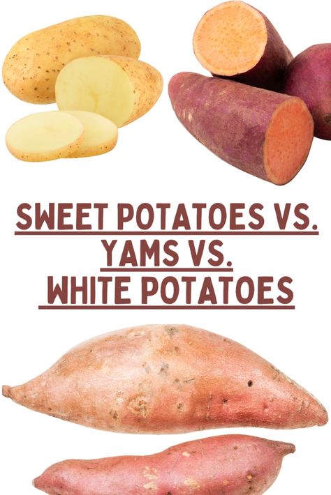 "Unraveling the potato mystery! 🍠🥔 Dive into our latest article to explore the differences between sweet potatoes, yams, and white potatoes. From flavor profiles to nutritional benefits, we've got the scoop on these versatile spuds. Discover the perfect potato for your next meal and spice up your culinary adventures. 🌽🥗 #PotatoShowdown #FoodExploration #HealthyEating #NutritionFacts" Fruits Name In English, Benefits Of Potatoes, Fruit Names, White Potatoes, Root Vegetables, Flavor Profiles, Nutrition Facts, Sweet Potato, Spice Things Up