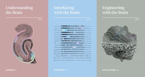 Science Text, Science Textbook, Graphics Layout, Brain Science, Graphic Design Agency, Infographic Design Inspiration, Visual Language, Website Design Layout, Motion Graphics Design