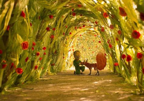 ‘The Little Prince’ Movie Review Little Prince, The Little Prince, Prince, Flowers, Red