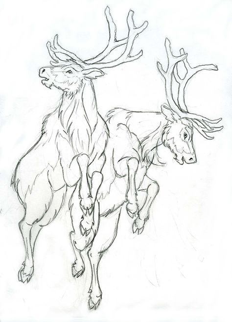 Draw Deer, Reindeer Drawing, Deer Sketch, Fly Drawing, Flying Reindeer, Deer Drawing, Christmas Tinsel, Deer Art, Christmas Drawing