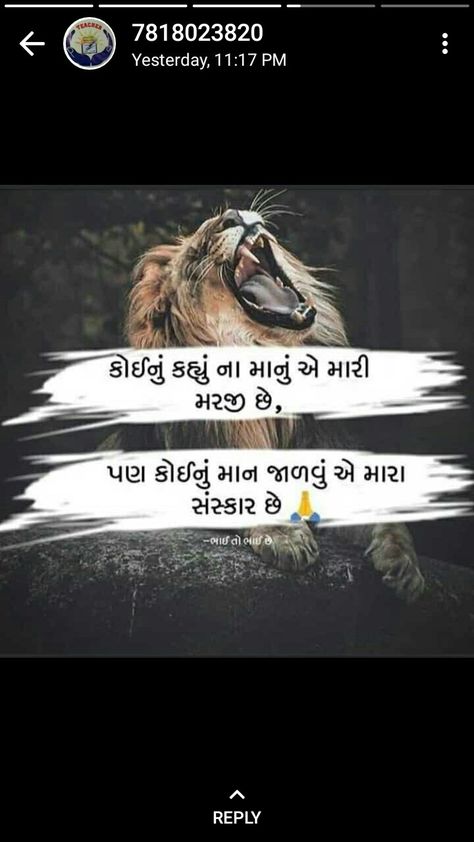 Happy Valentines Day Quotes For Him, Encourage Quotes, Dandiya Dress, Rajput Quotes, Gujarati Jokes, Gujju Quotes, Valentines Day Quotes For Him, Funny Shayari, Happy Valentine Day Quotes