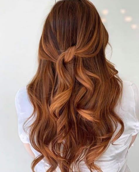 Copper Brown Hair, Chestnut Hair, Ginger Hair Color, Hair Color Auburn, Red Highlights, Copper Hair Color, Brown Hair Balayage, Brown Hair Color, Auburn Hair