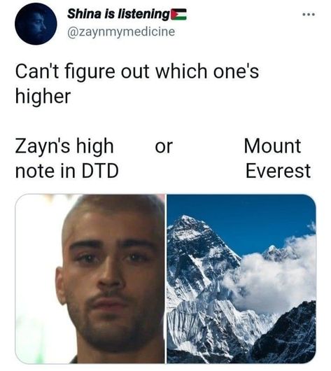 Zen Malik, Cordens Angels, Zayn One Direction, One Direction Jokes, One Direction Zayn Malik, Zayn Malik Photos, Zayn Malik Pics, Dusk Till Dawn, One Direction Humor