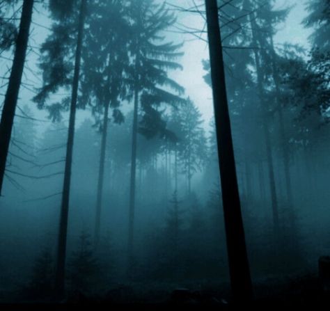 Fairy Grunge Aesthetic, Dark Forest Aesthetic, Dark Visions, Emo Love, Dark Fairycore, In The Pale Moonlight, Twilight Photos, Dark Green Aesthetic, Mystical Forest