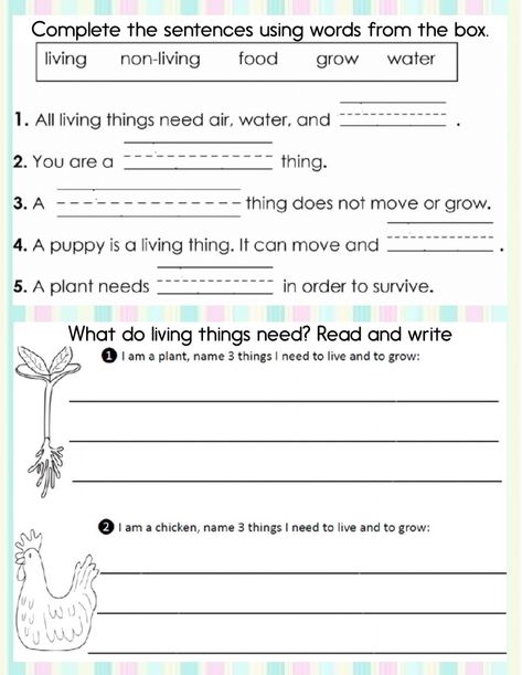 Living and non-living things - Interactive worksheet Living Things And Non Living Things Worksheet For Grade 1, Living And Non Living Things Worksheets, Living Non Living Worksheet, Living Things And Non Living Things, Science Kindergarten Worksheets, Non Living Things, Evs Worksheet, Live Worksheet, Diana Sanchez