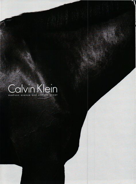 Calvin Klein Magazine Cover, Calvin Klein Aethstetic, Calvin Klein Aesthetic Boy, Calvin Klein Poster, Kelvin Klein, Calvin Klein Aesthetic, Shooting Bags, Steven Klein, Foto Inspo